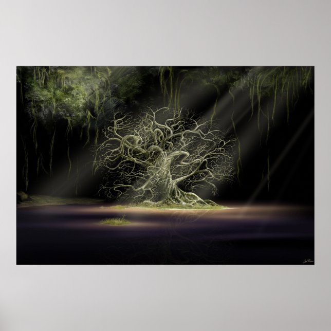 Poster Le secret 1 (Devant)