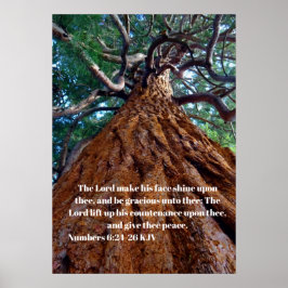 Poster Le Seigneur fait briller son visage, levant