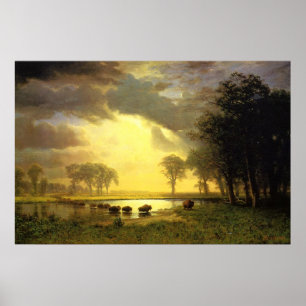 Poster Le sentier Buffalo