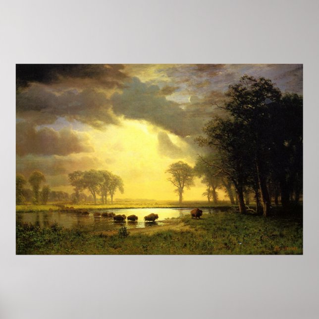 Poster Le sentier Buffalo (Devant)