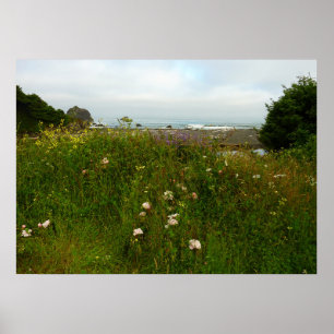 Poster Le sentier de la boucle Yurok au parc national Red