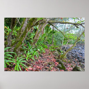 Poster Le sentier Kalalau, côte Napali, Kauai, Hawaï