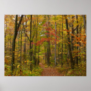 Poster Le sentier Laurel Hill à l'automne