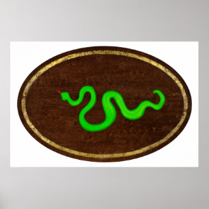Poster Le Serpent 2009