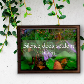 Poster Le silence nuit rarement à la sagesse en écrivant 
