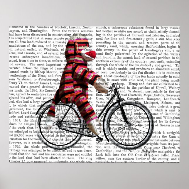 Poster Le singe de choc sur vélo (Devant)