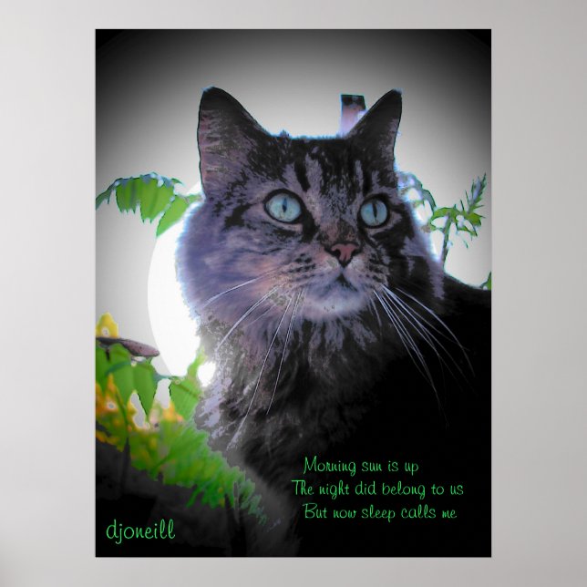 Poster Le sommeil m'appelle (Devant)