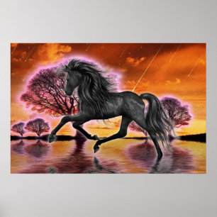 Poster Le Stallion Noir .. image imaginaire ...