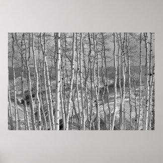 Poster Le stand en blanc