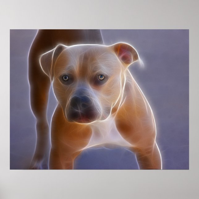 Poster Le statu quo (Devant)