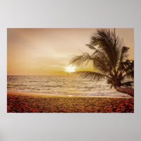 Le Sunset Coconut Palm sur la plage