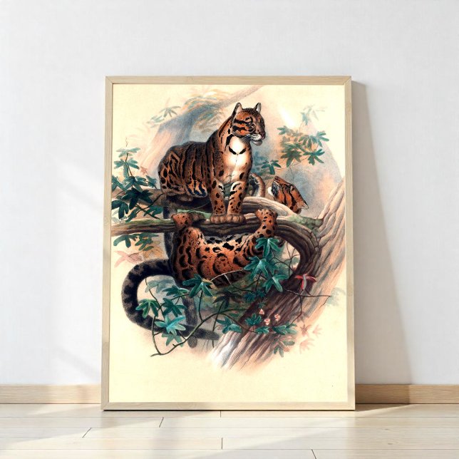 Poster Le Tigre Cloudé (Créateur téléchargé)