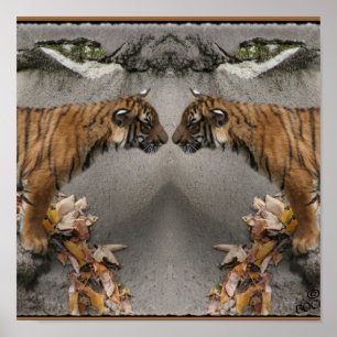 POSTER LE TIGRE FONT FACE À L'IMAGE CACHÉE