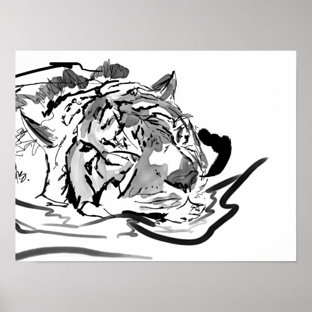 Poster Le Tigre Tranquille (Devant)