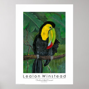 Poster Le Toucan à prix Keel