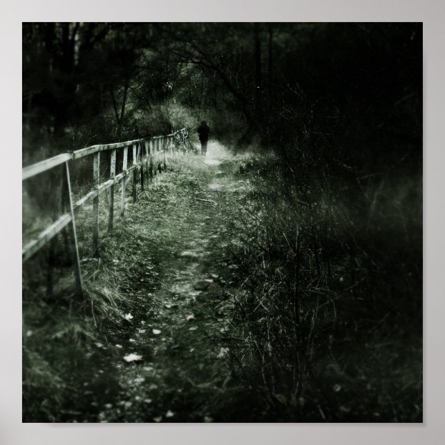 Poster Le vagabond (Devant)