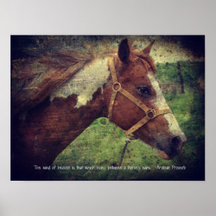 Poster Le Vent du Ciel, clinquant