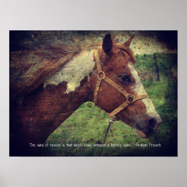 Poster Le Vent du Ciel, clinquant (Devant)