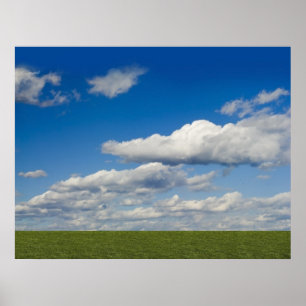 Poster le vert a classé, ciel bleu, nuage blanc