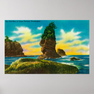 Poster Le vieil homme de Cape Flattery, WA