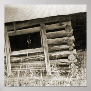 Poster Le vieux cabine de rondin