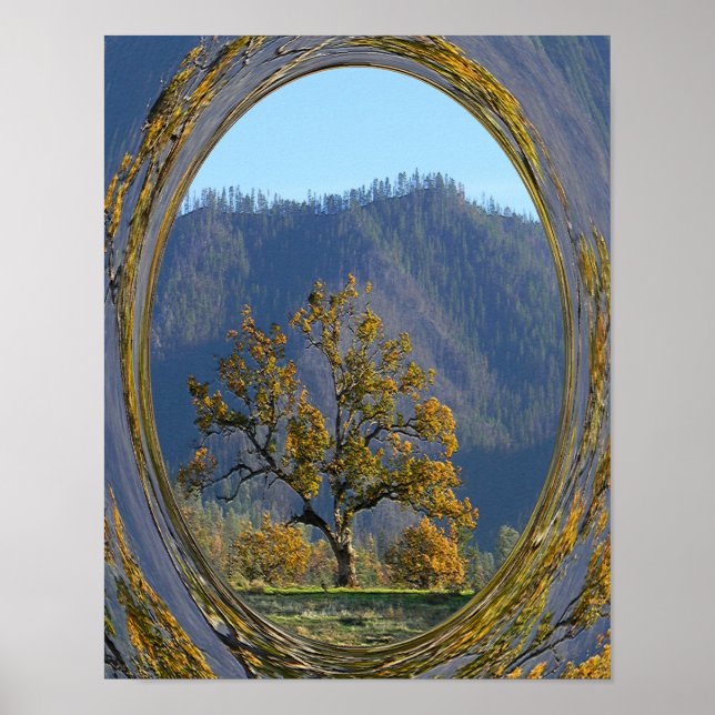 Poster Le vieux chêne..... (Devant)