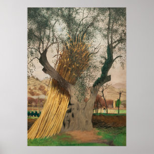 POSTER LE VIEUX OLIVE TREE