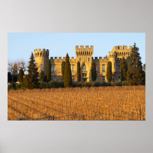 Poster Le vignoble aux pins sylvestres et le château