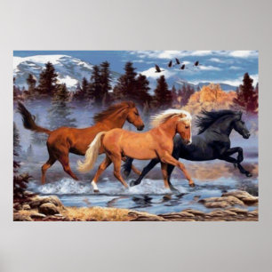 Poster Le Whisperer des chevaux