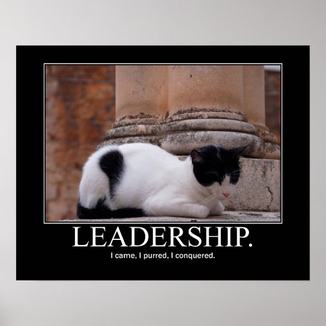 Poster Leadership Cat Artwork (Devant)