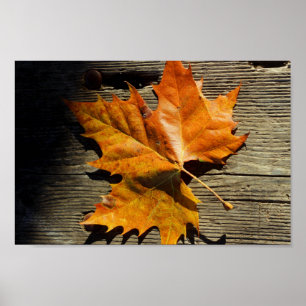 Poster Leaf automne