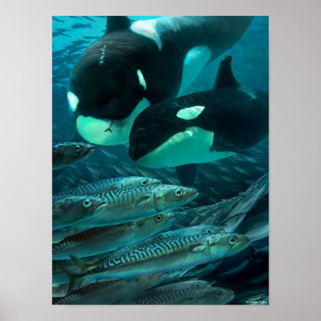 Poster Learning to hunt macman (Devant)