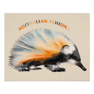 Poster L'échidné australien piquant