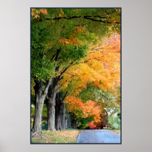 Poster Lecteur Automne