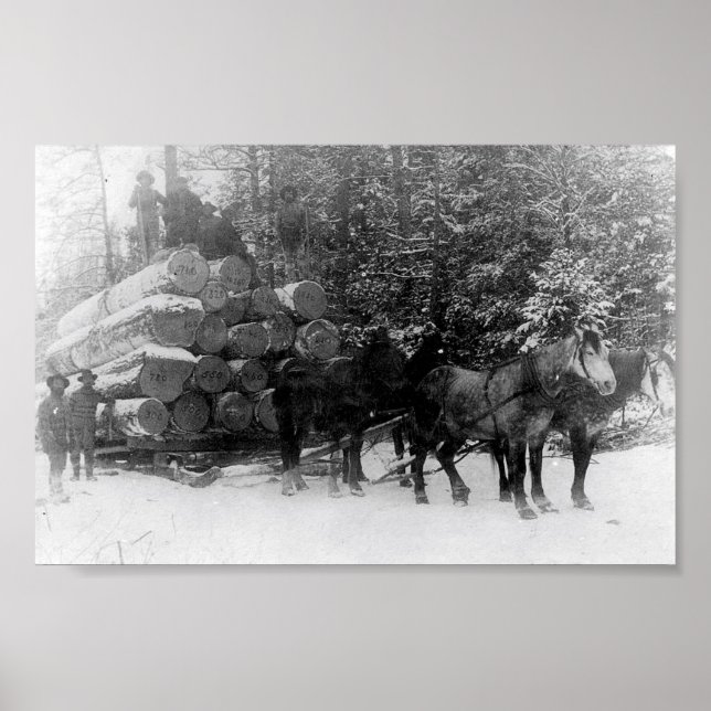 Poster Lecteur de journal (Devant)