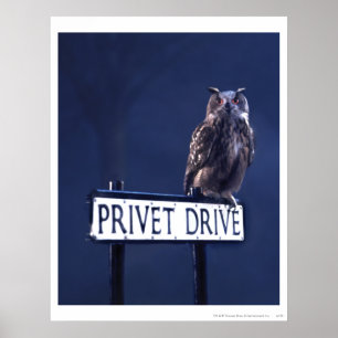 Poster Lecteur privé