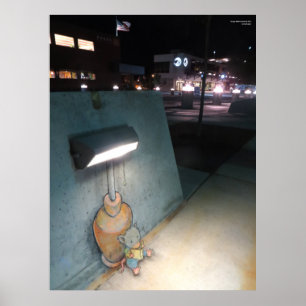 Poster Lecture Légère