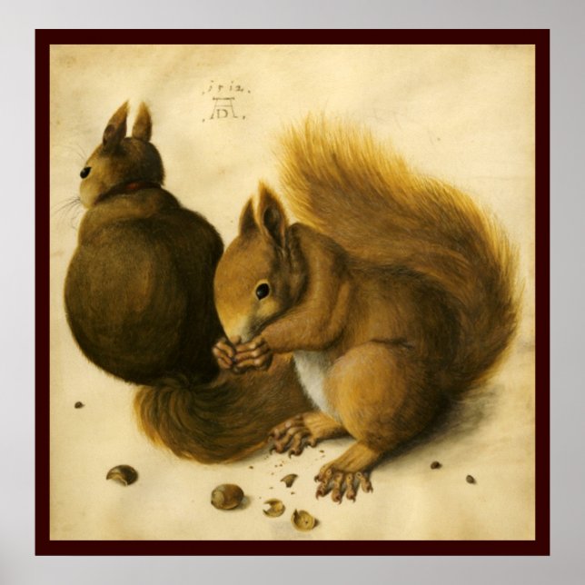 POSTER L'ÉCUREUIL AVEC DES NOISETTES (Devant)