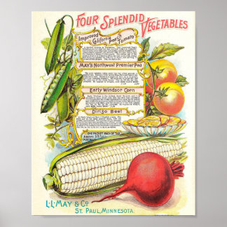 Poster Légume coloré sain Vintage semis