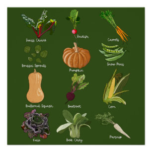 Poster Légumes d'automne Récolte de légumes d'automne
