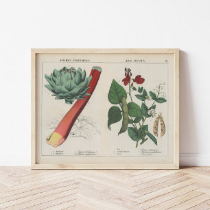 Poster Légumes de cuisine   Charlotte Mary Yonge