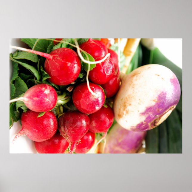 Poster Légumes racines (Devant)