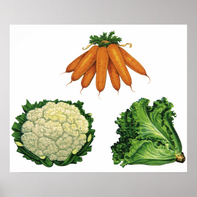 Poster Légumes vintages; Carottes, Chou-fleur, Laitue (Devant)