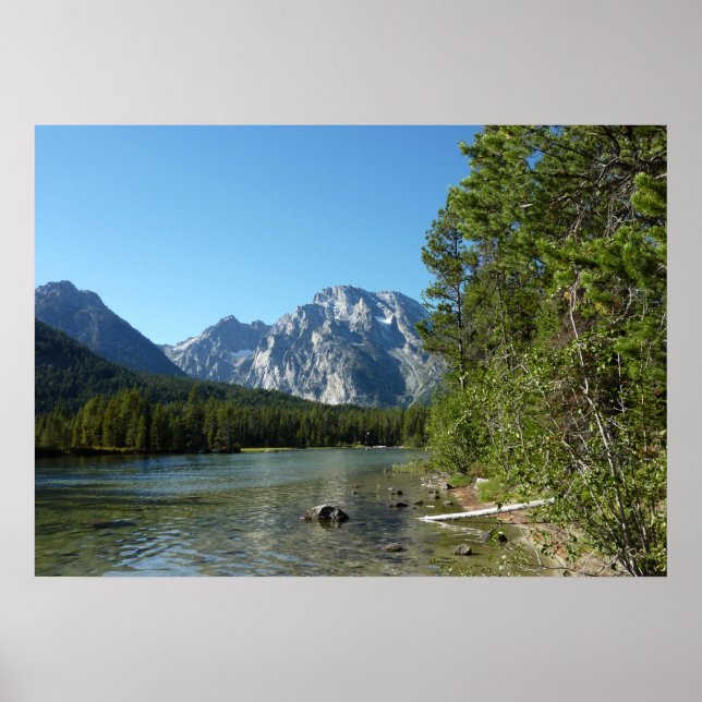 Poster Leigh Lake, parc national de Grand Teton (Devant)