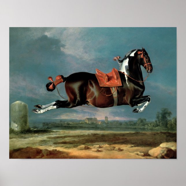 Poster L'élevage du cheval "Cehero" (Devant)