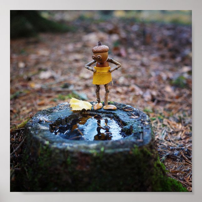 Poster L'elfe de la glande va se durcir (Devant)