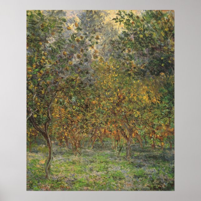 Poster Lemon Grove à Bordighera par Claude Monet (Devant)