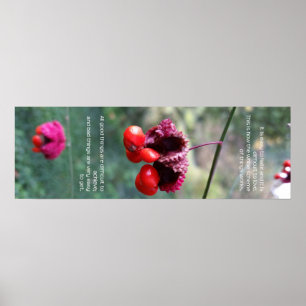 Poster L'ensemble du schéma des choses