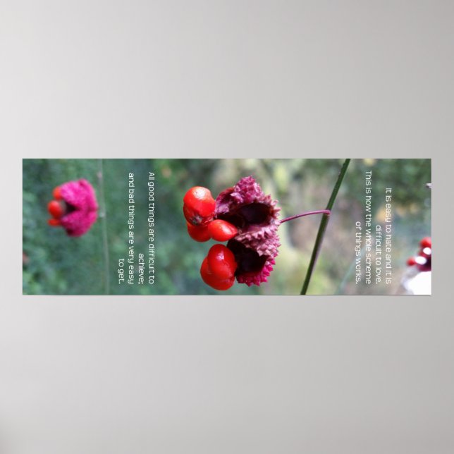 Poster L'ensemble du schéma des choses (Devant)