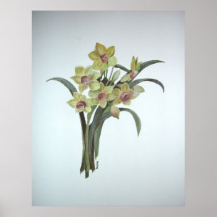 Poster Lent Lily